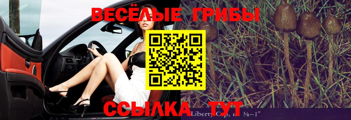 Ревда  Псилоцибиновые грибы прущие грибы  Вход с VPN 