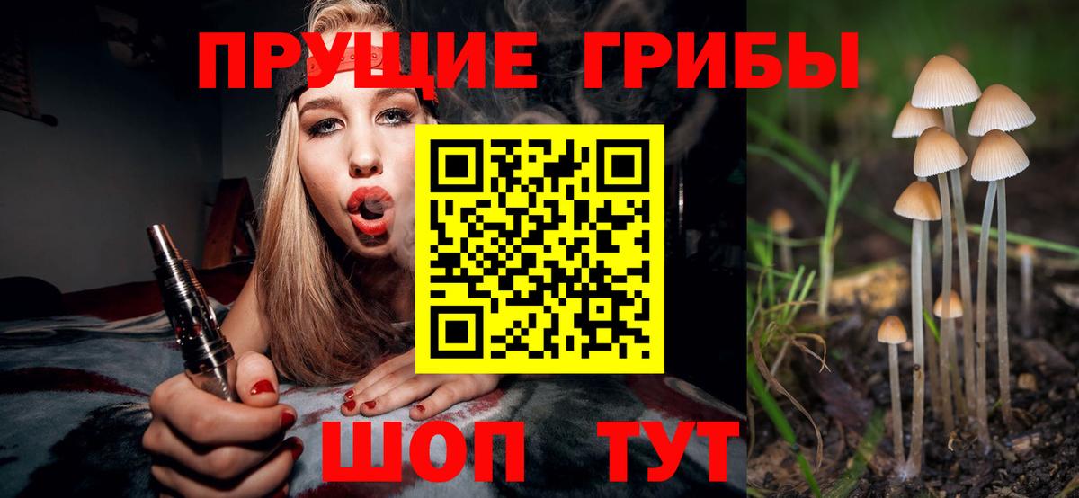 Галлюциногенные грибы Cubensis Ревда